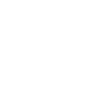 Online store icon