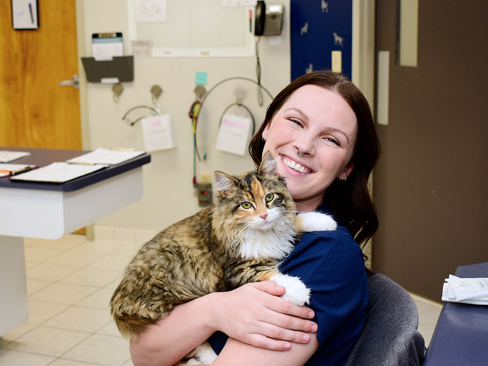 Pet Nutrition For Disease Management photo
