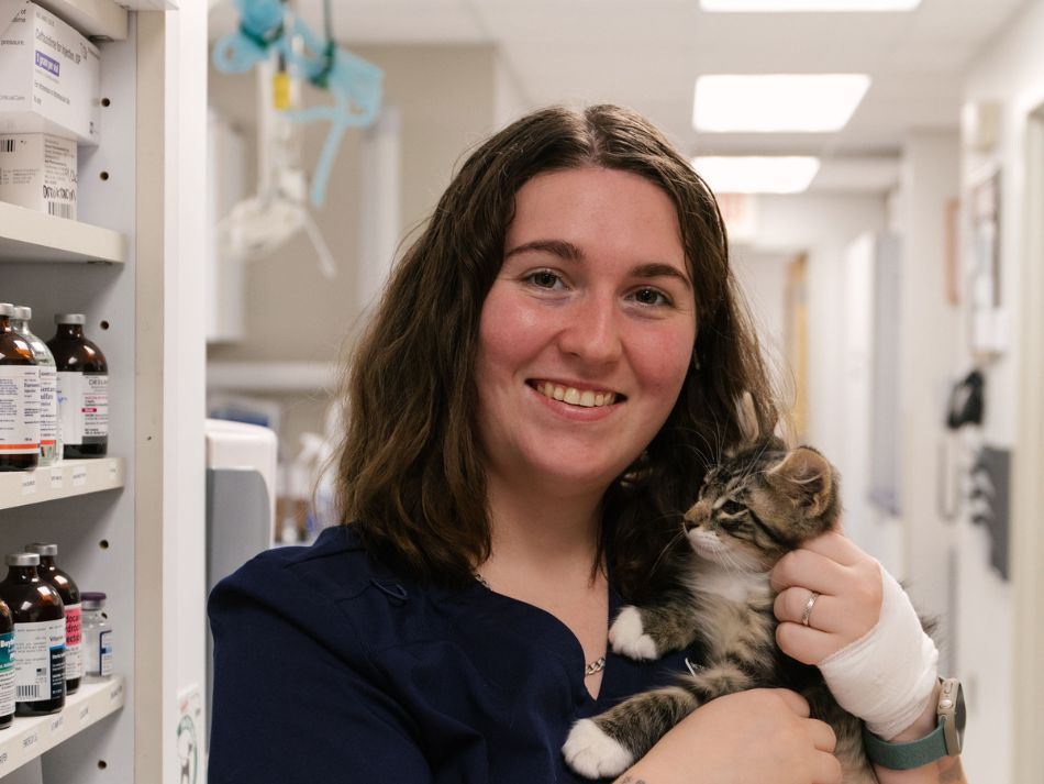 Vet Near Me Kasson, MN | K-M Regional Veterinary Hospital